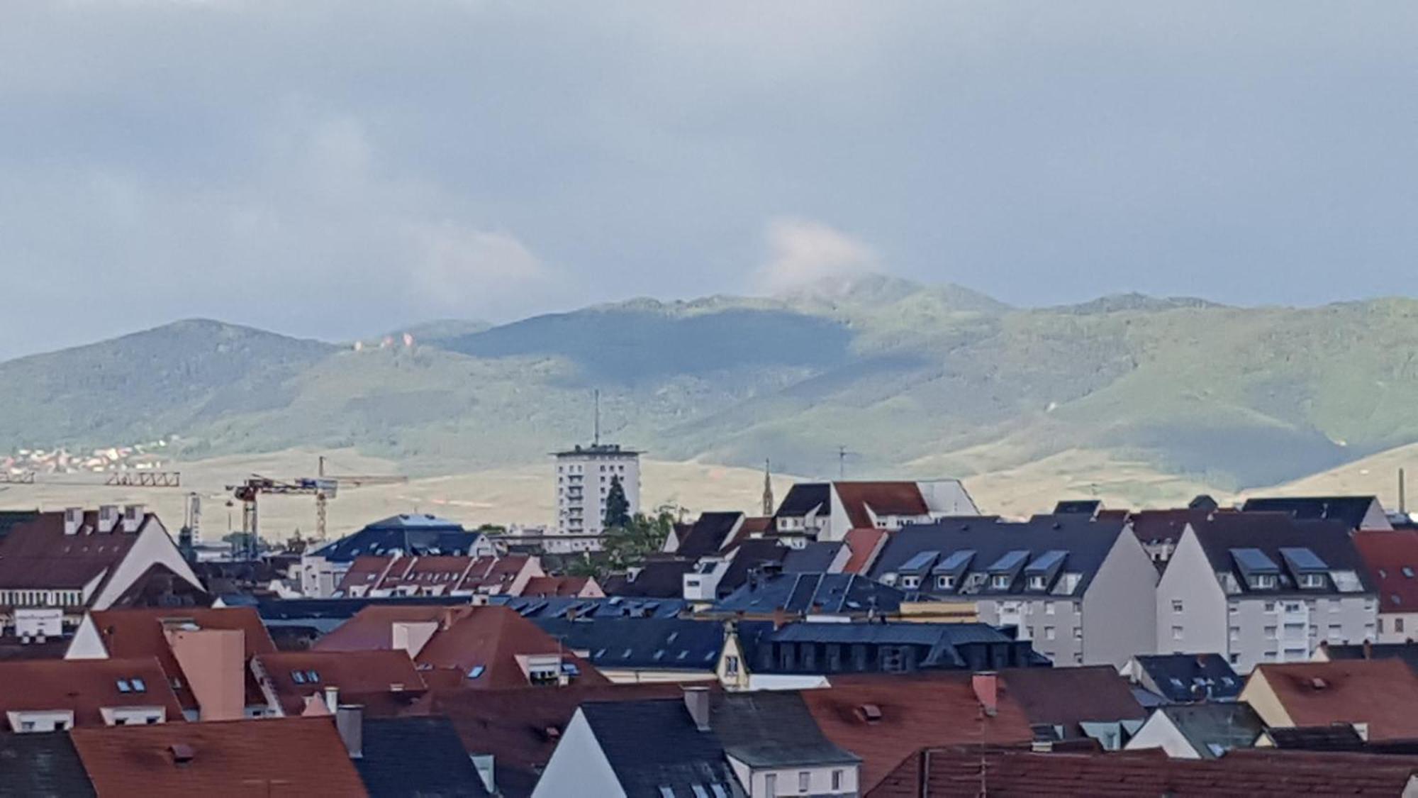 Colmar Top المظهر الخارجي الصورة
